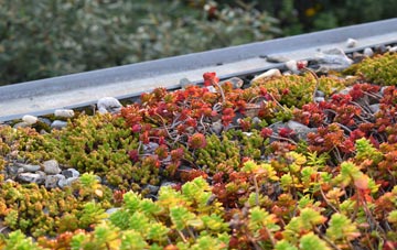 the cost of Brinkley green roof installation