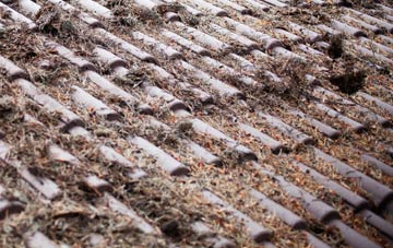 Brinkley roof cleaning companies